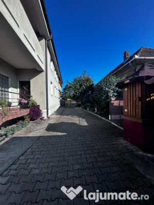 Casa individuala avram iancu