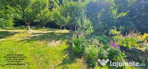Proprietate la 5 km de oras - vila p+1 + 5600 mp teren