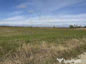 Teren intravilan 3700 mp - zona linistita