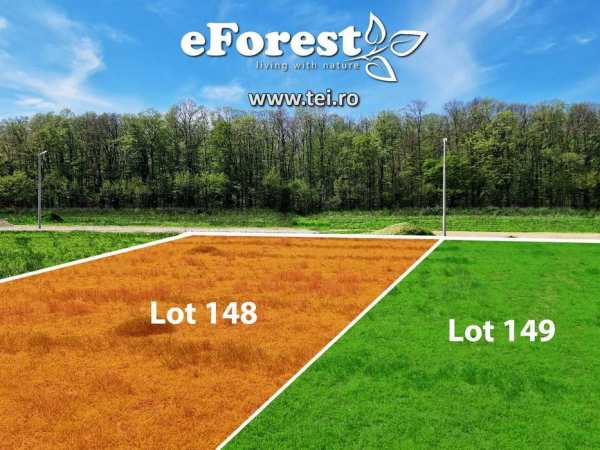 Teren de vanzare eForest, Crevedia, cel mai mic pret din zona!