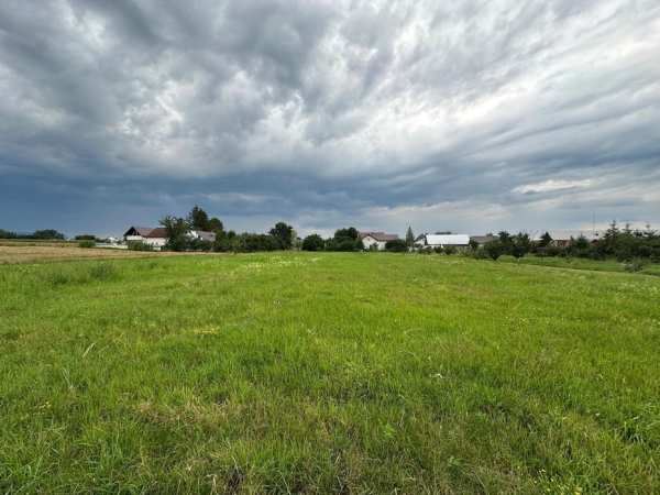 Vând pământ intravilan Horodnic de sus 9.549 Mp