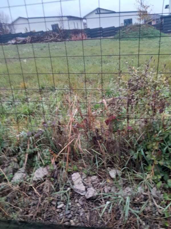 Pers fizica vind 500 mp  teren popas pacurari valea lupului  str soare