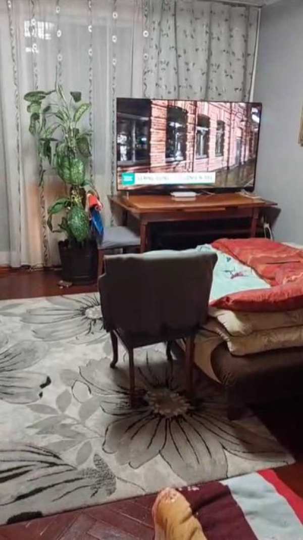 Vand aparatament 2 camere in Borsa, Jud. Maramures