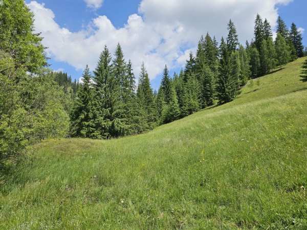 Teren de vanzare in Bucovina Breaza zona Paraul Negrei