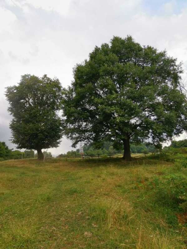 Teren Brasov. Posibilitate de plata in rate.