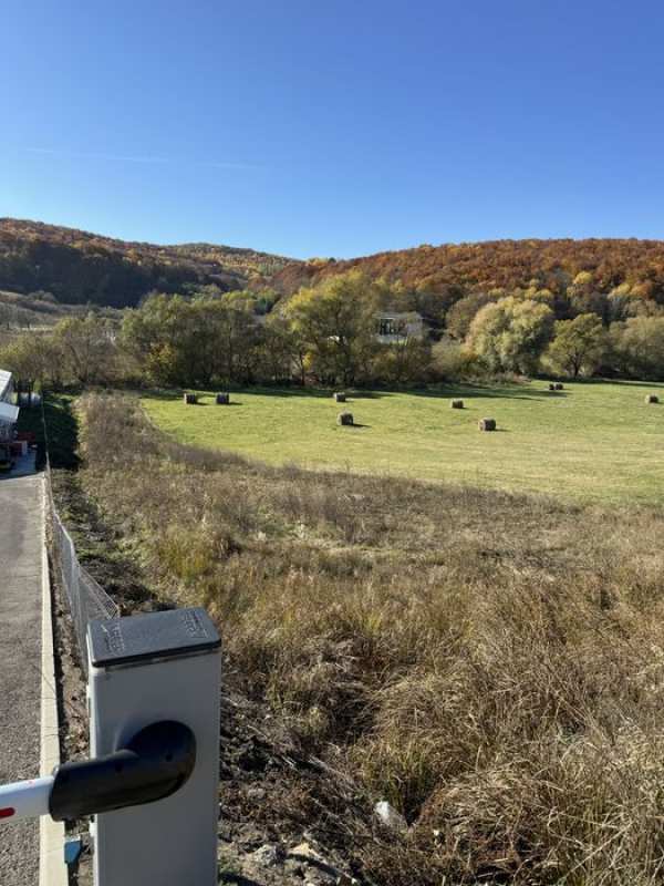 Teren de inchiriat Valcele 8600mp