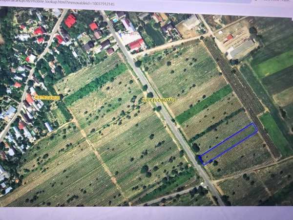 Vand Teren Intravilan Pietroasele  2500 MP deschidere DJ 203C 19 M