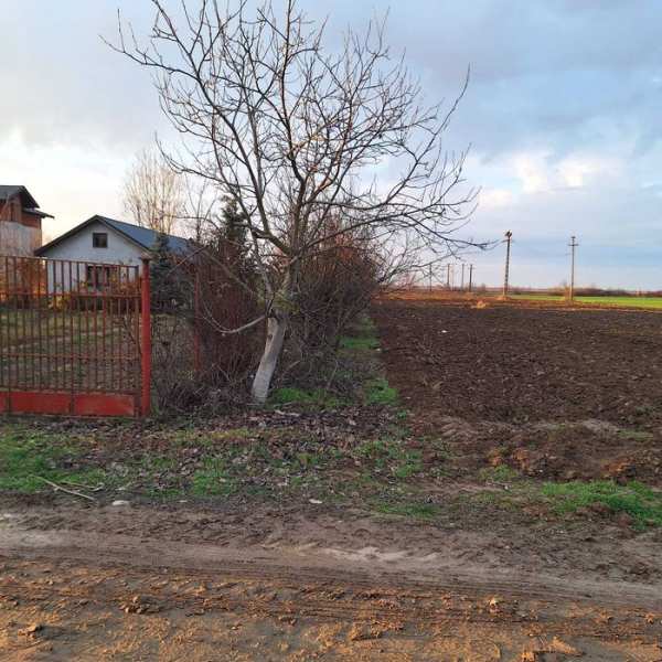 Vând teren intravilan cu casa in Halmeu