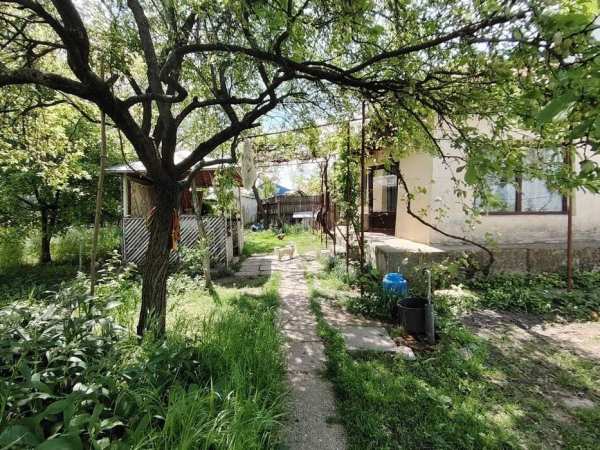 Teren 700 mp strada Tuchiloaia nr 4 casa batraneasca 2 camere Podeni Barlad