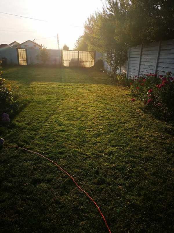 Teren Corbeanca si casuta lemn