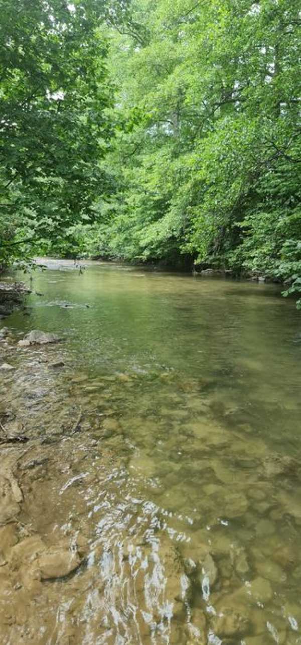 Teren pensiune/cabana  intravilan 4000 mp Bulz