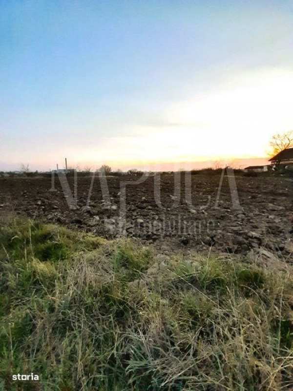 Teren intravilan agricol de vanzare in Episcopia Bihor Oradea, Oradea
