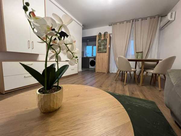 Închiriez apartament 2 camere zona Tătărași + loc parcare