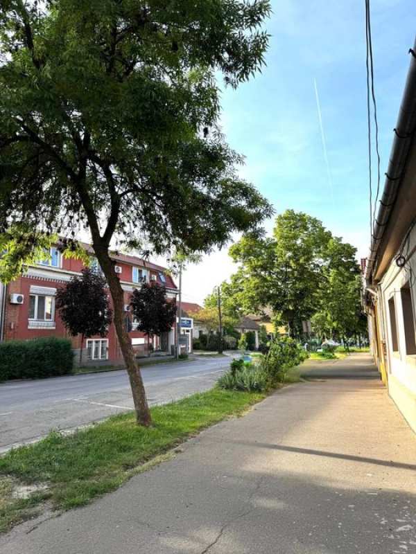 Casă centrală, la 10 minute de Pietonală – str. Episcop Roman Ciorogariu