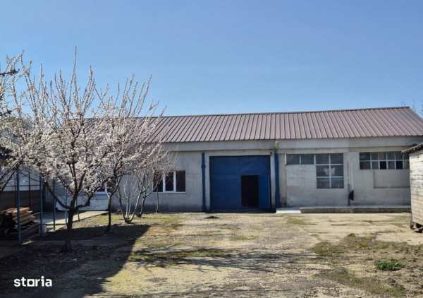 De închiriat hala Pârneava Strada Gheorge Doja