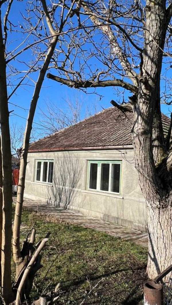 Casa de vanzare Carani