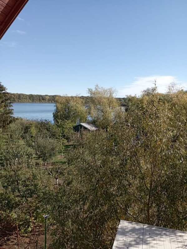 Vila pe malul lacului snagov