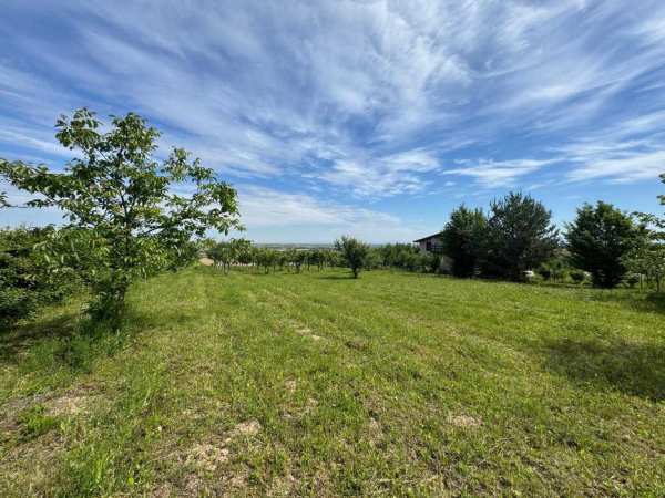 Teren intravilan 1.1 Hectare Viile Satu Mare CF utilitati