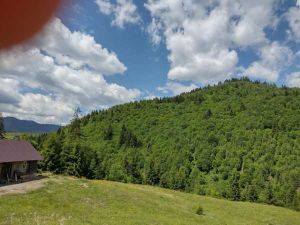 Teren de vinzare in Sadova, Suceava