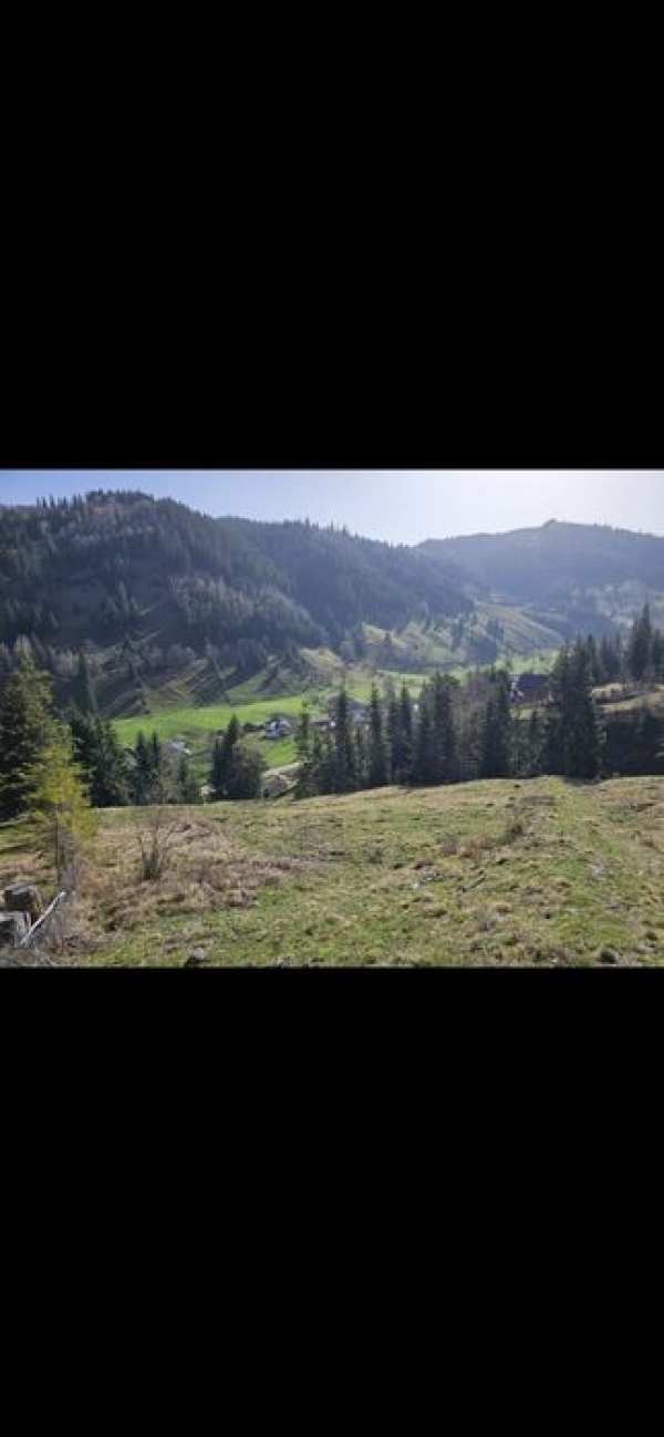 Teren de vanzare partial intravilan in Bucovina Pojorata Transrarau