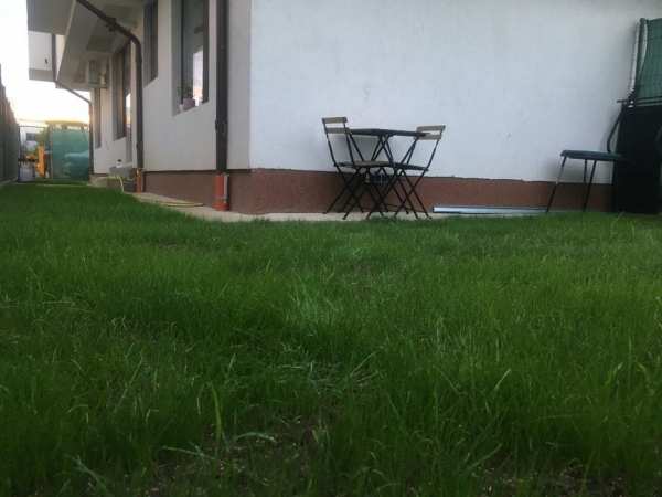 Otopeni Odaile Baneasa