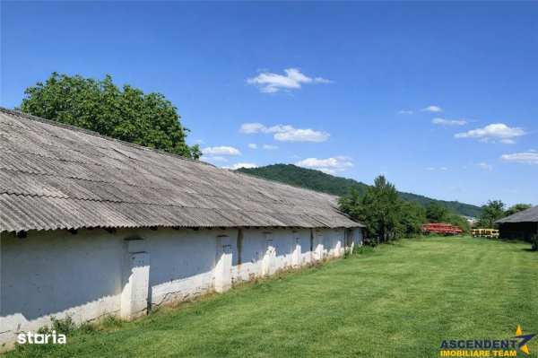 Spatiu comercialIndustrial multifunctional: productie, depozitare, log