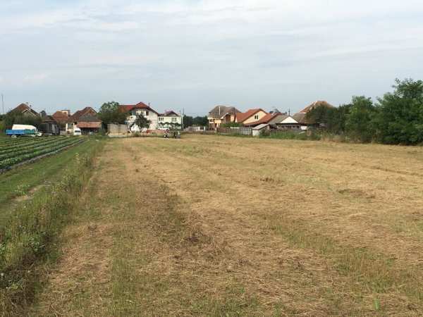 Teren intravilan 5500 mp