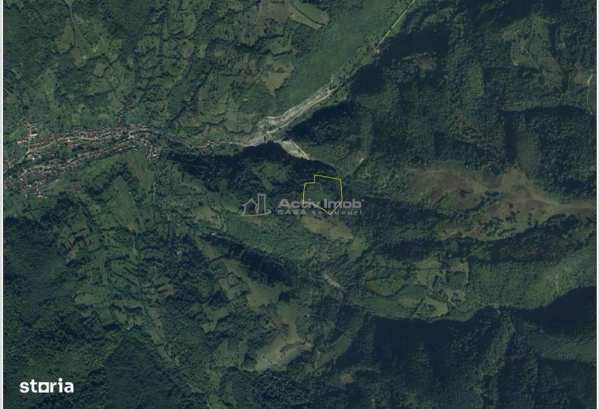 Teren 27833 mp cu padure