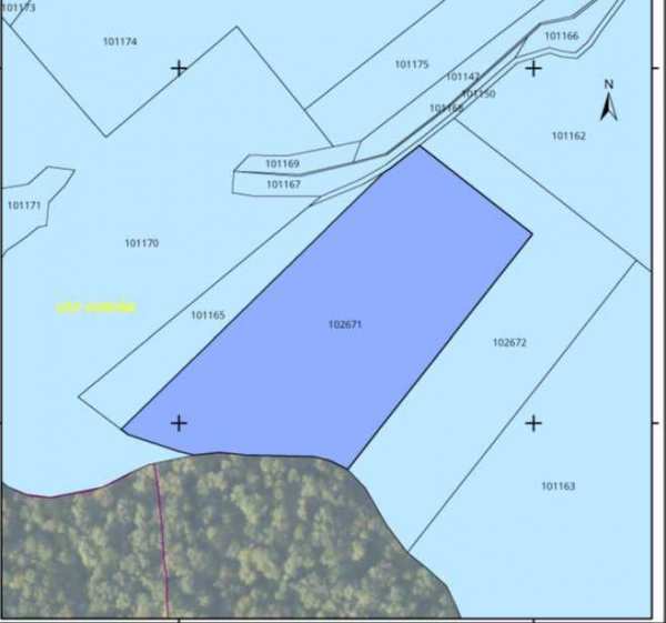 Teren extravilan agricol arabil 19501 mp de vânzare – Vurpăr, Sibiu