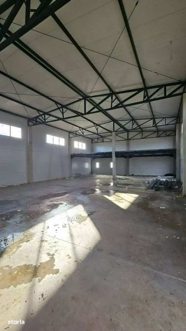 Hale Noi De Inchiriat | Iesire direct In Centura | Chitila