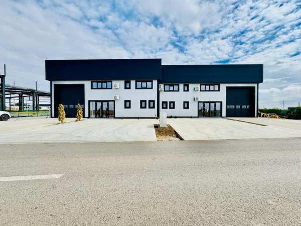 Vanzare Imobil teren 5000mp si 4 hale lipite cate doua