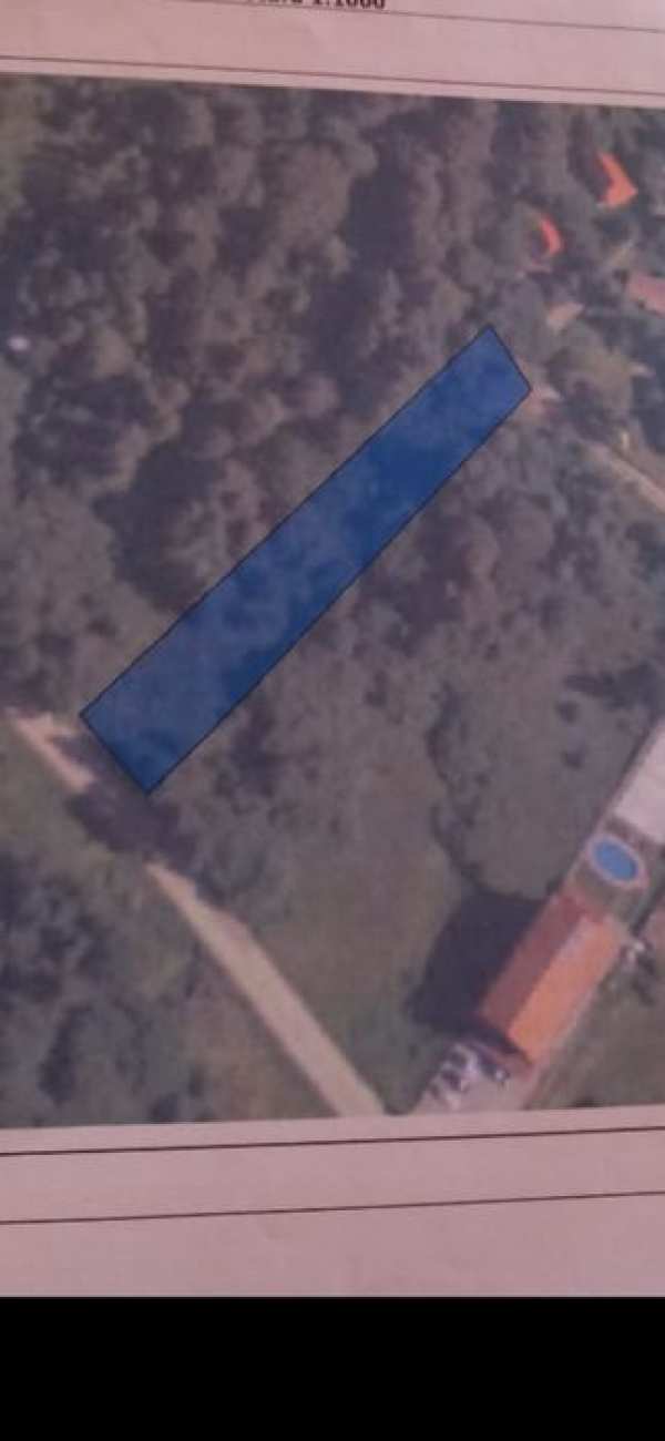 Teren intravilan in Poiana Mărului C-S