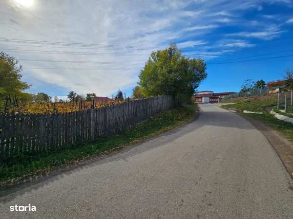 Teren intravilan 1000 mp, utilități, lângă Spital Călinești