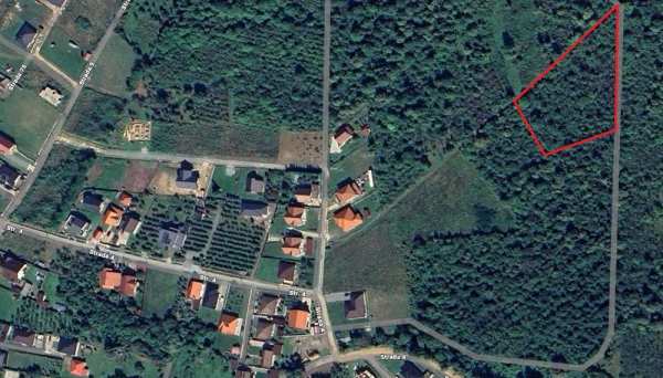 Tautii-Magheraus ,teren intravilan 62 ari , deschidere 119m