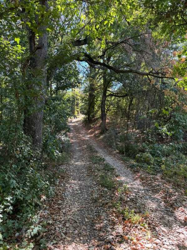 Teren intravilan înconjurat de pădure – Vârfurile, Prahova