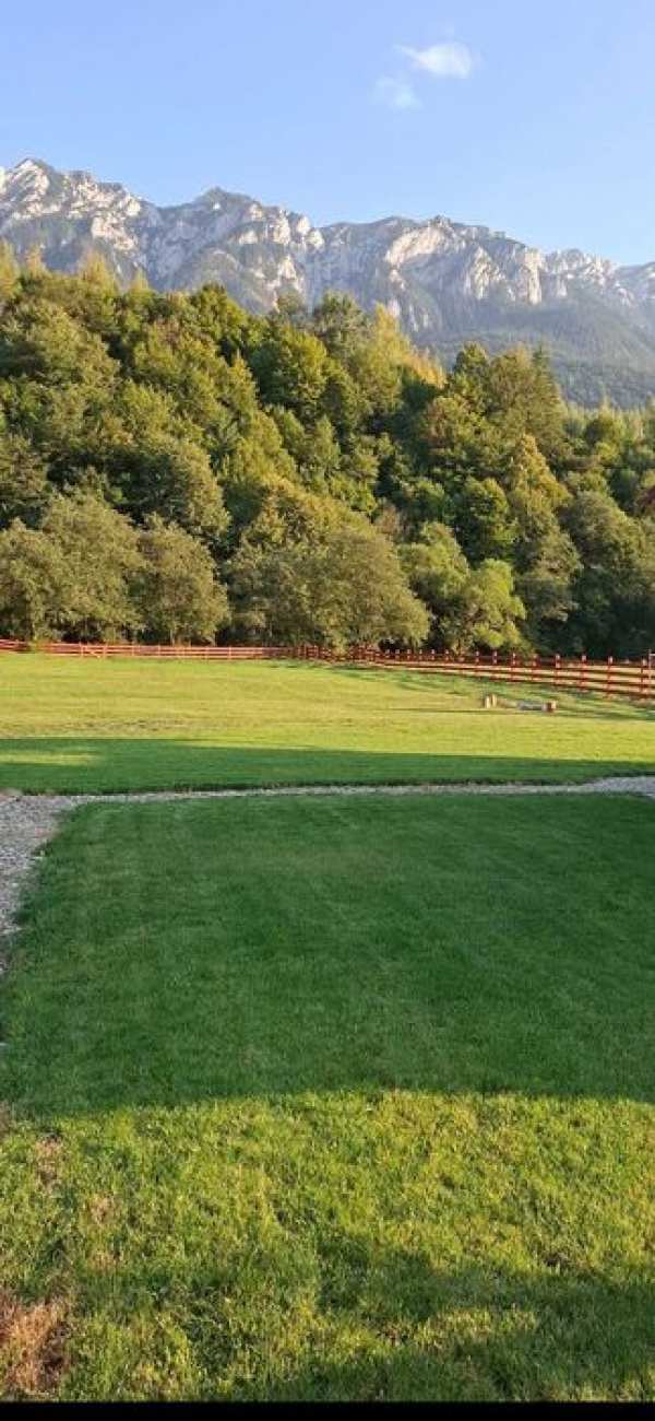 Teren intravilan Plaiul Foii