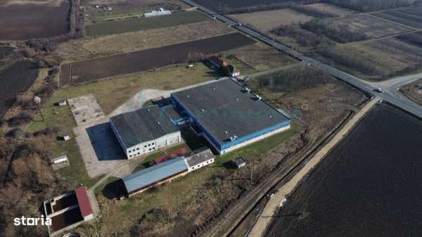 Hală Industrială 6500 mp,Madaras la 30 km de Oradea,Gaminvest,v4077