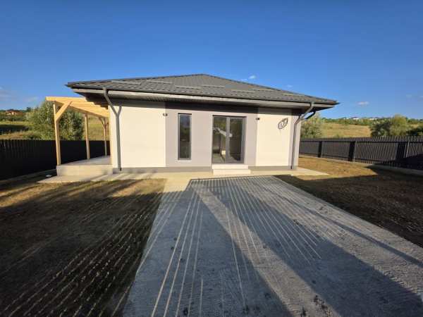 Casa de vânzare ,Vișan,persoana fizică