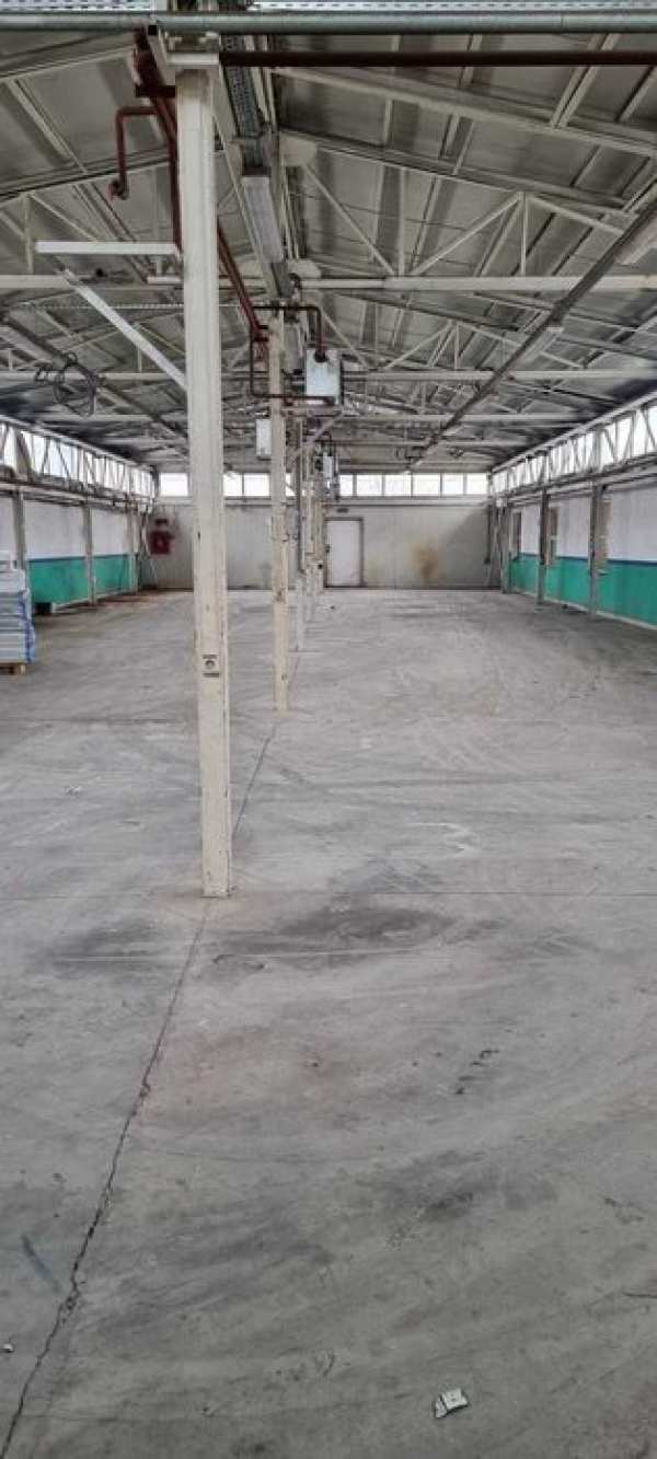 vanzare hala Stefanesti