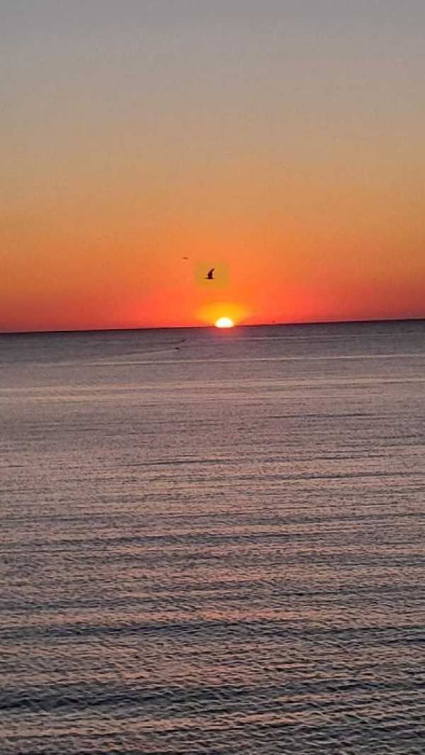 Teren Intravilan Arabil pe Prima Linie a Mării Negre în 2 Mai Rate