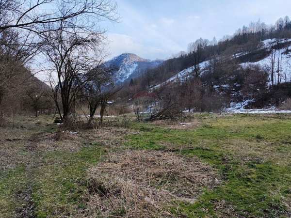 Vând teren intravilan,sat Lunca Largă(Ocoliș)Alba