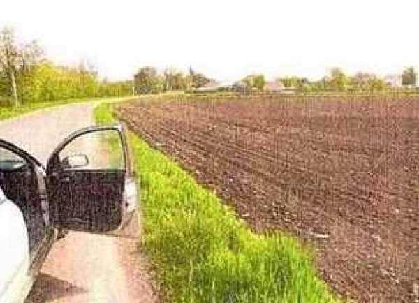 Teren extravilan, Moldoveni, jud. Neamt