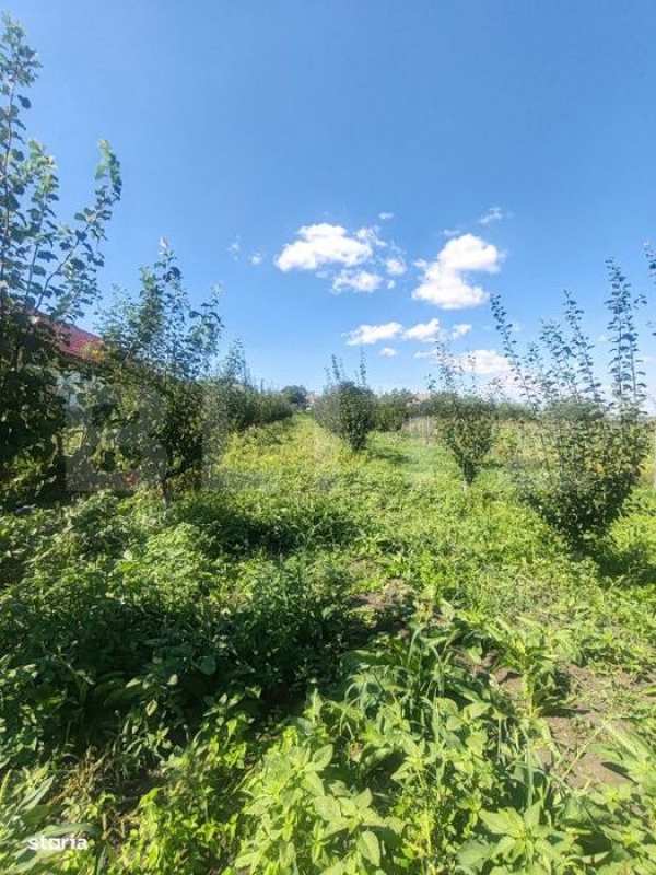 Casuta tip foisor, 30 mp, pe un teren de 3.000 mp, vedere panoramica,