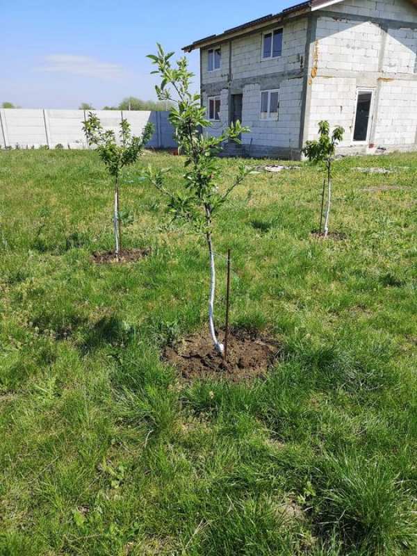 Vând casa la rosu în Răcari