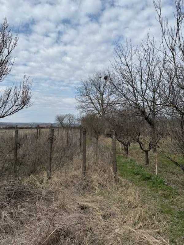 Vand casa cu teren de 4715 mp in Dragasani Jud Valcea Str Rahova