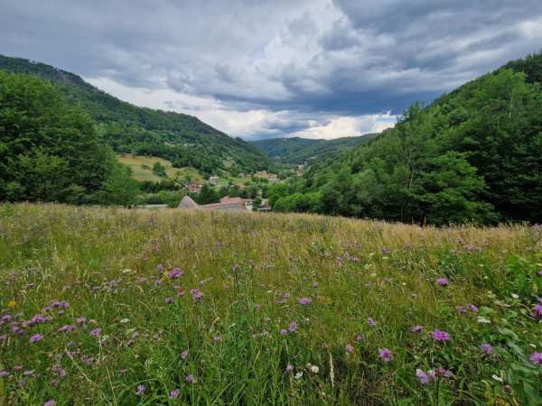 Teren intravilan Bulz-Munteni