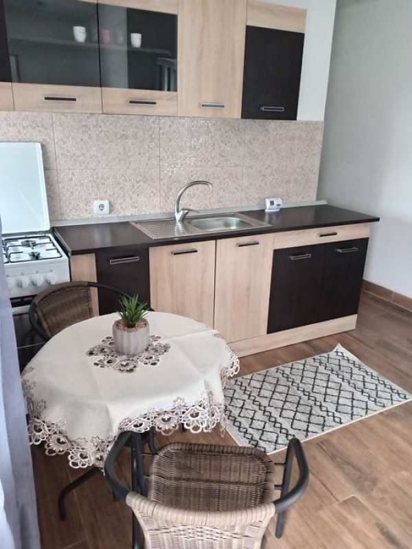 Închiriere casă spațioasă