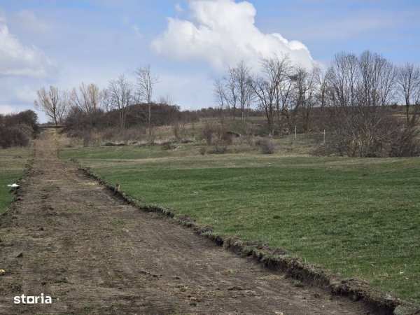 Teren Dealul Fanatelor/8 km Auchan