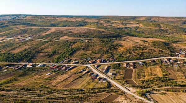 Investiție Forestieră: 10 Ha Pădure în Pojogeni Gorj Acces Drum Direct