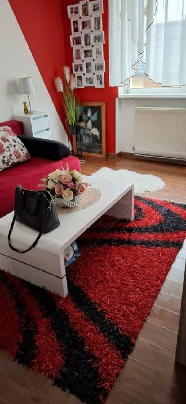 Vand garsoniera seini